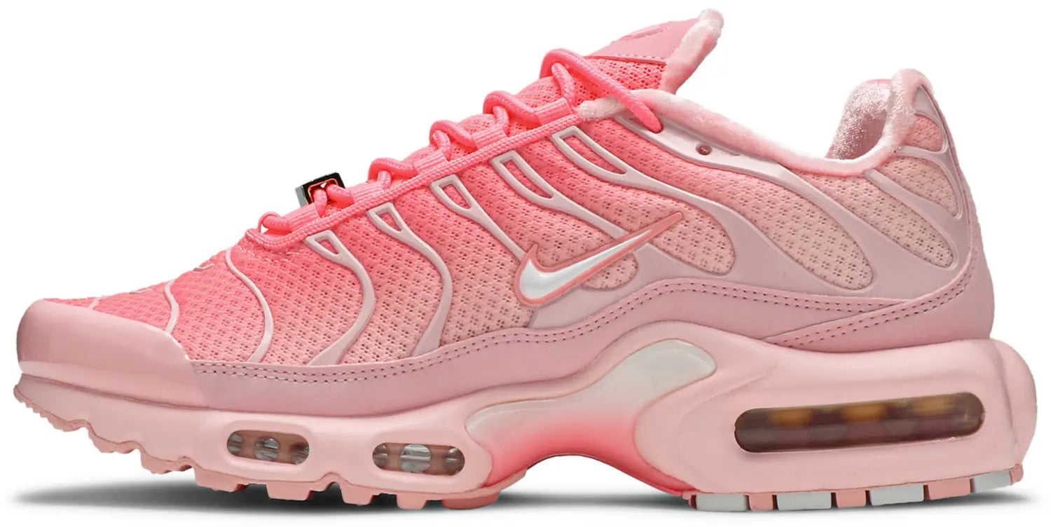 Nike TN Air max Plus Atlanta